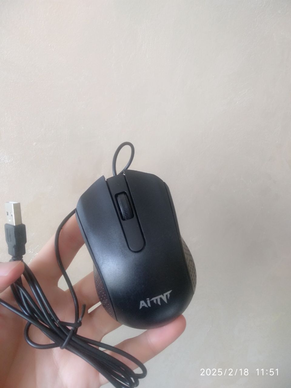 aitnt w150_ _2025-03-13_07-31-02.jpg